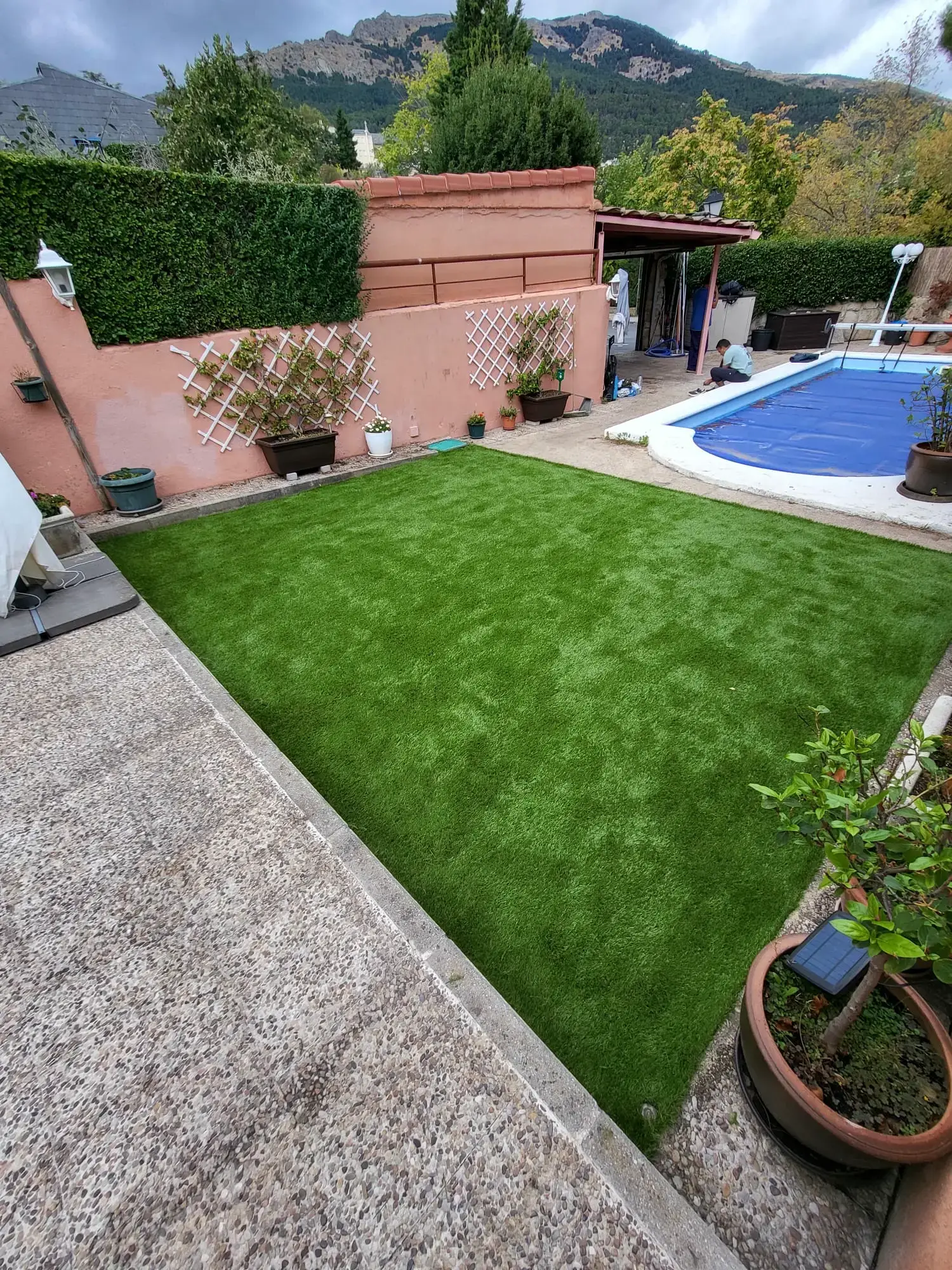 Proyecto de Reforma